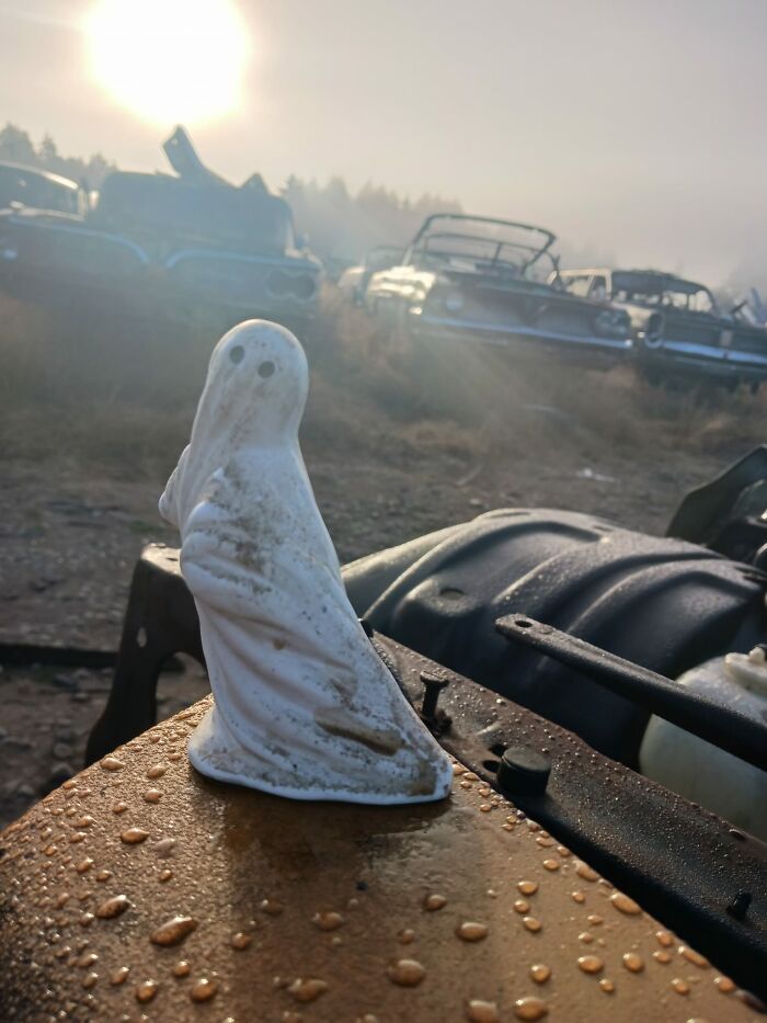 Jack And The Ghost Of The Wrecking Yard