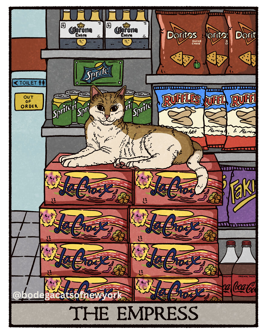 Check Out The First 7 Cards From The Upcoming Bodega Cats Tarot Deck Check Out The First 7 Cards From The Upcoming Bodega Cats Tarot Deck