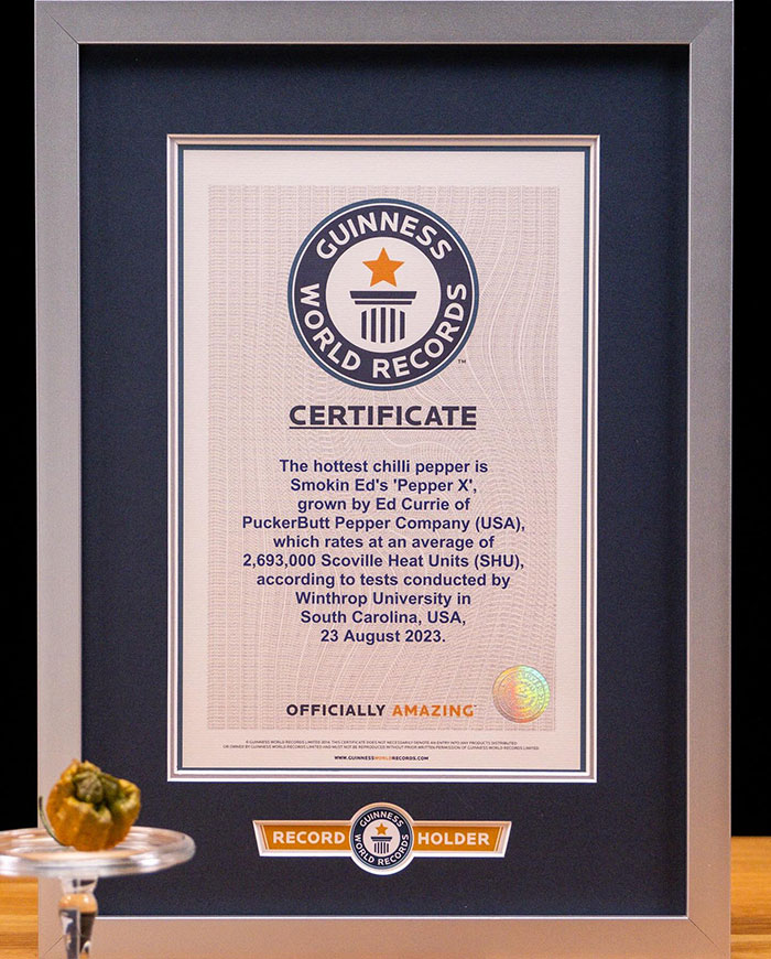 Man Crossbreeds Carolina Reaper With "Brutally Hot" Mystery Pepper, Beats His Own Guinness World Record Man Crossbreeds Carolina Reaper With "Brutally Hot" Mystery Pepper, Beats His Own Guinness World Record