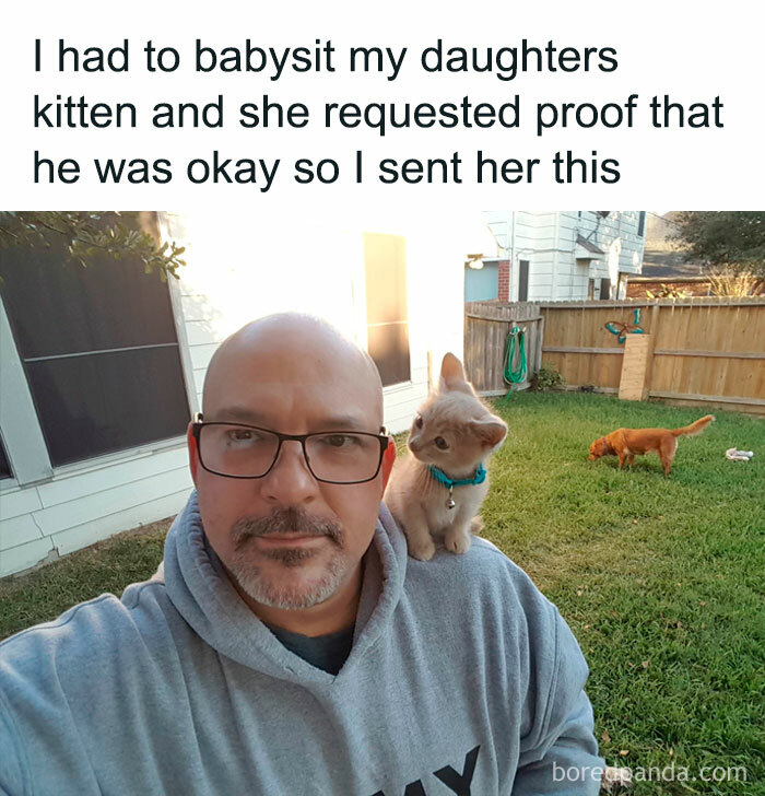 Taking Nice Care It Seems