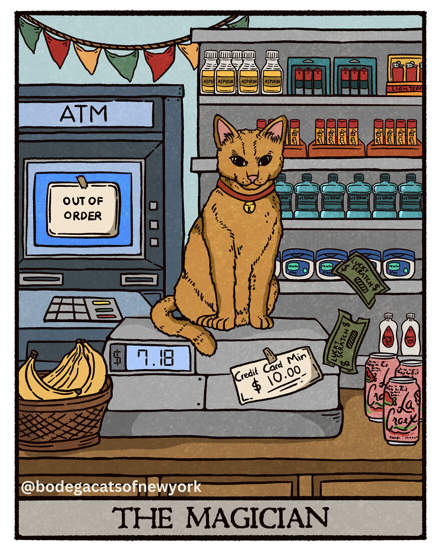 Check Out The First 7 Cards From The Upcoming Bodega Cats Tarot Deck Check Out The First 7 Cards From The Upcoming Bodega Cats Tarot Deck