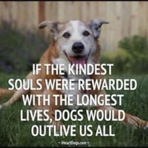 beverleymmurray avatar