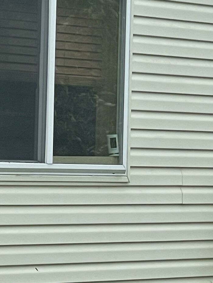 Neighbor Installed Two Cameras Pointed Directly At Our Basement Windows