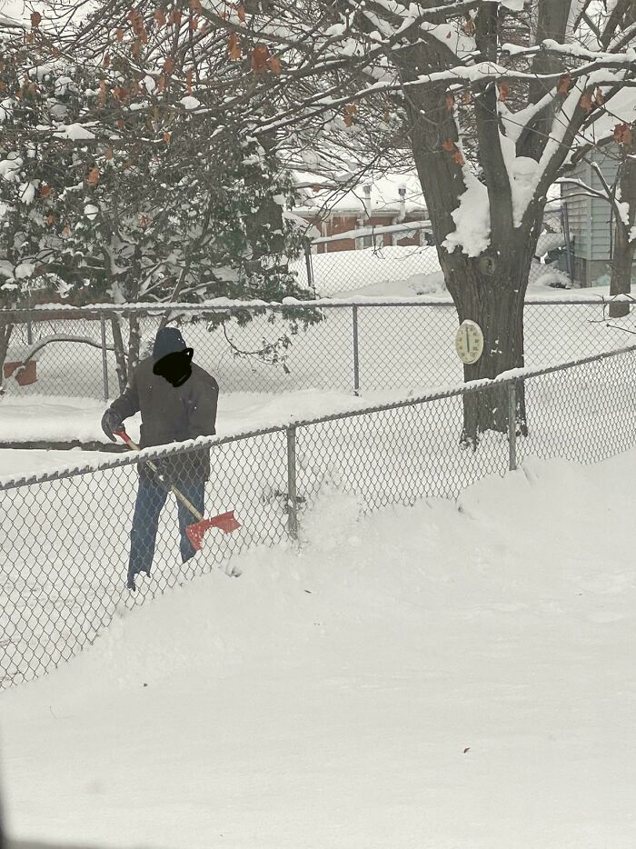 My Neighbor Shoveling His Backyard Into Mine