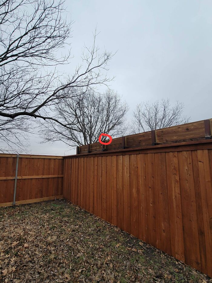 Built A 7 Foot Privacy Fence. Neighbor Raised His By 2 Feet And Put A Camera Facing Into My Backyard
