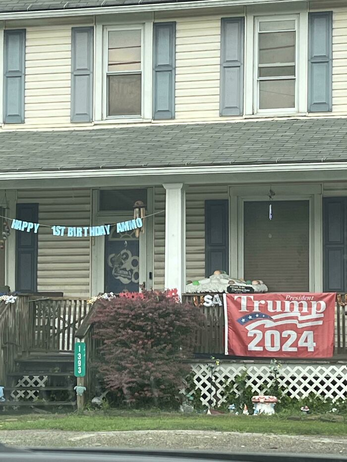 First One In The Wild -Ammo