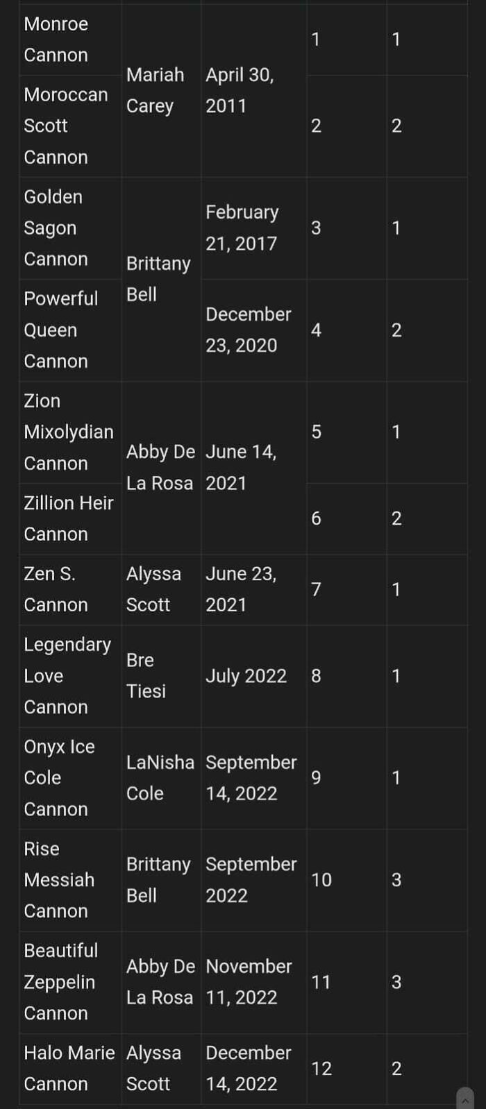 Nick Cannon's Ever Growing List Of Progenies And Tragedeighs