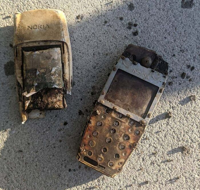 Nokia 3310 Found Washed Up On The Beach