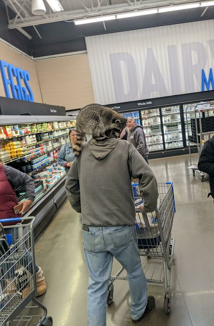 We Call Him Racoon Man And He Shows Up Occasionally