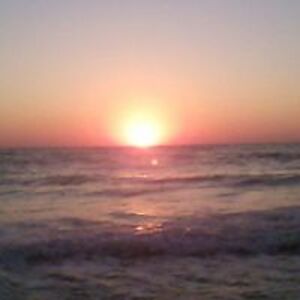 colleen_schilinski avatar