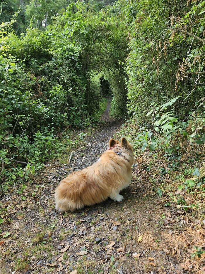 My Dog Was Pretty Nervous About Heading Down This Trail For Some Reason
