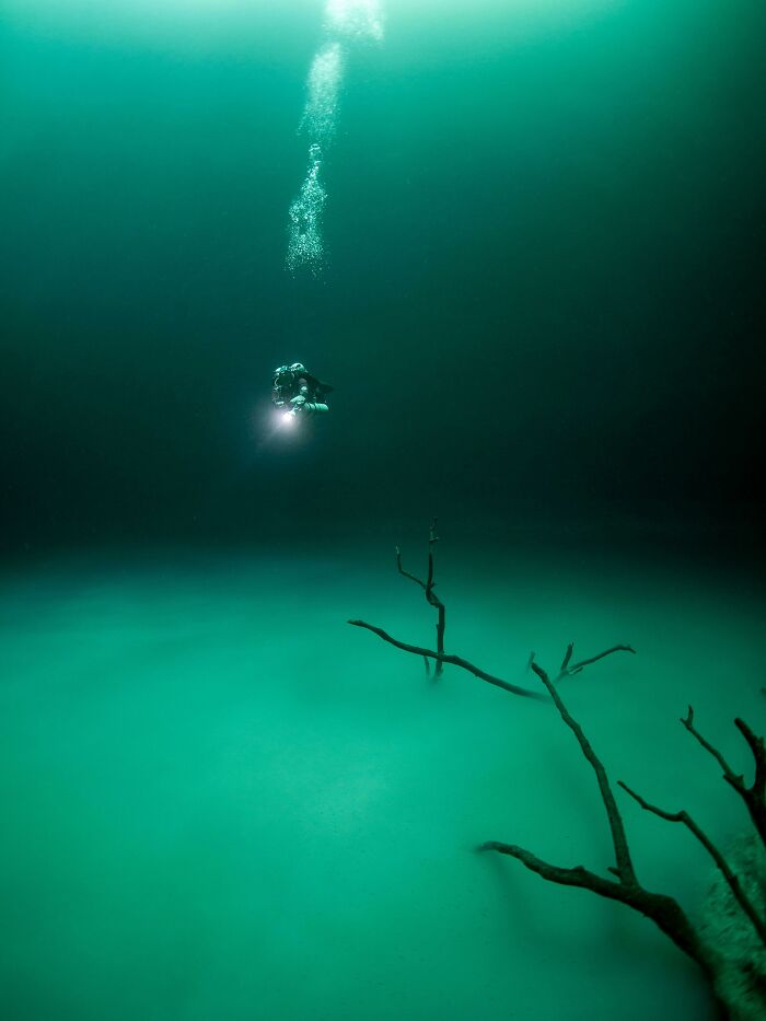 Piscina de salmuera en el fondo del mar