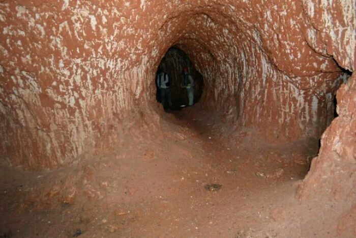 Túner excavado por un perezoso terrestre gigante en Brasil, hace 10000 años