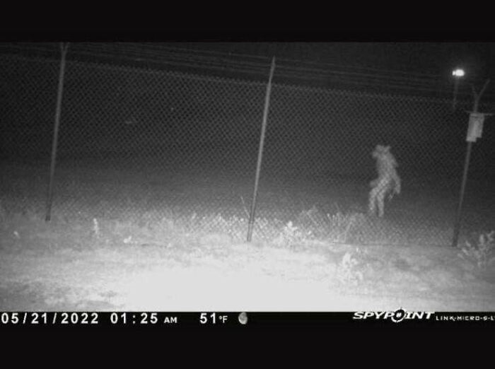 Texas City Shares Photo Of Unidentified "Entity' Outside Zoo