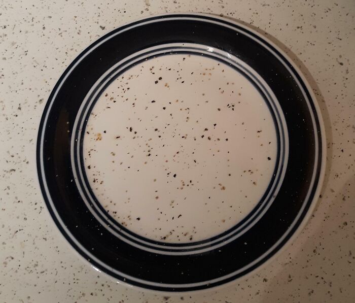 Accidentally Recreated My Kitchen Counter's Pattern On A Plate While Seasoning A Burger