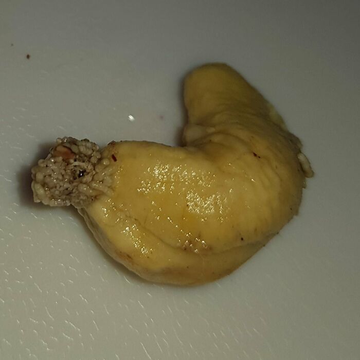 This Is A Cashew. I Almost Ate It