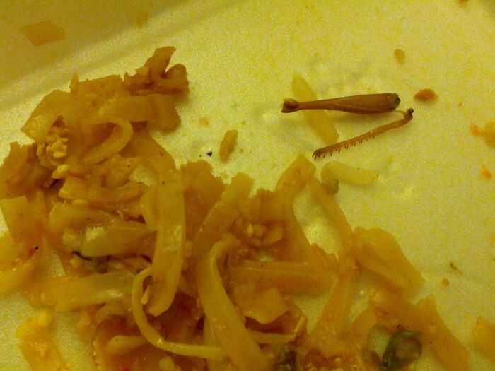 I Was Enjoying My Thai Food, When Suddenly... Crunch. I Can't Find The Rest