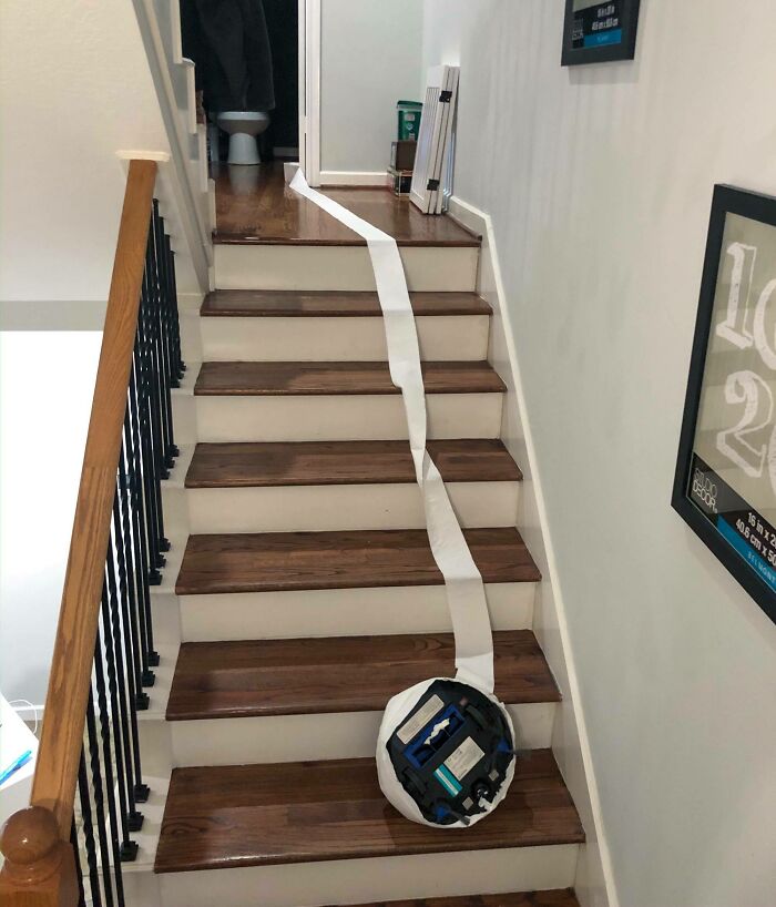 Roomba Suicide By Toilet Paper