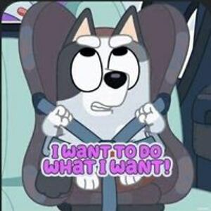 shardoksenpai avatar