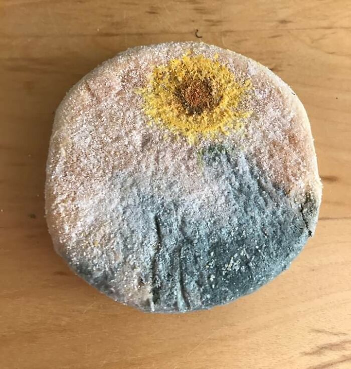 My English Muffin's Mold Looks Like A Sunflower