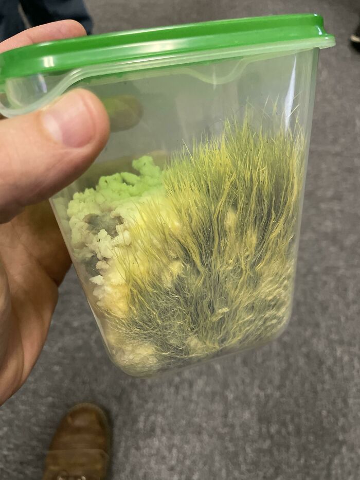 My Friend Just Found This In His Fridge. He Thinks It Was Mashed Potatoes At One Point