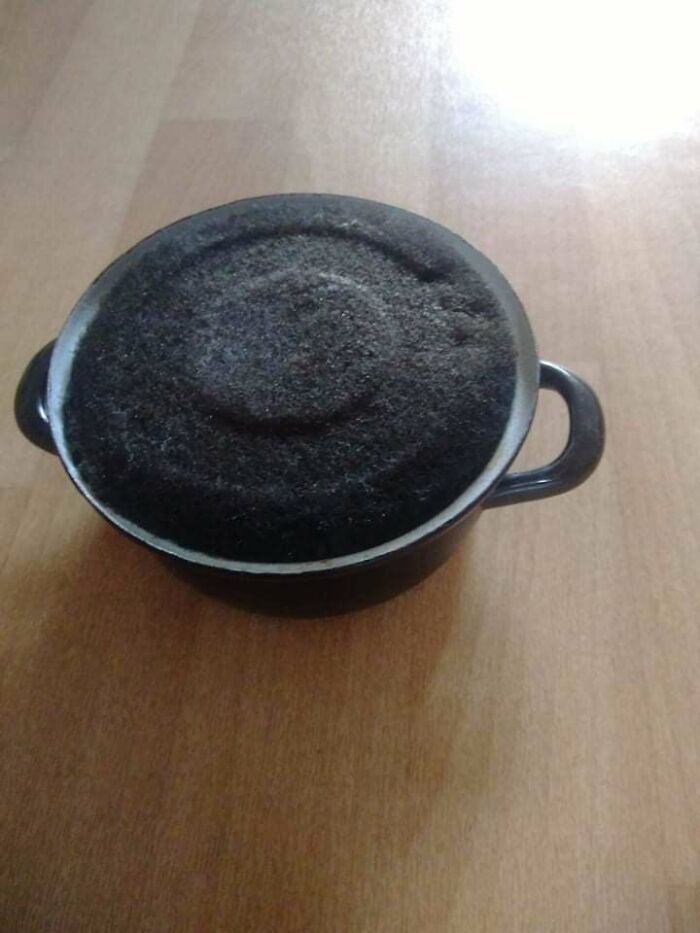 My Friend Left Some Rice In This Pot And Put It In The Back Of Her Cupboard. This Is What She Found Yesterday