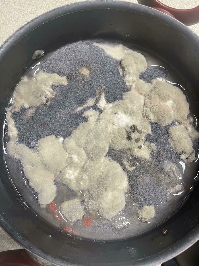 Free Upvote For Guessing What This Used To Be