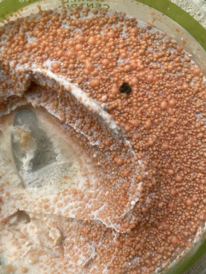 Cleaned Out The Fridge Today And Found This Hidden On The Back Of The Top Shelf - This Used To Be Vegan Cream Cheese