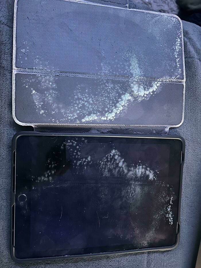 Sister Used My iPad And I Later Found It In This Condition, This Is Mold Right? I Wiped It Down With A Wet Wipe, Is That Good Enough?
