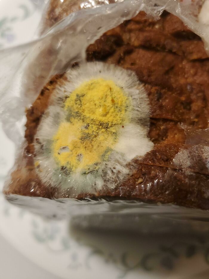 This Mold On My Bread Looks Like It's Trying To Disguise Itself As A Boiled Egg