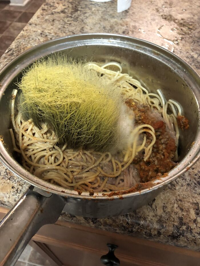 This Spaghetti Grew Green Hair