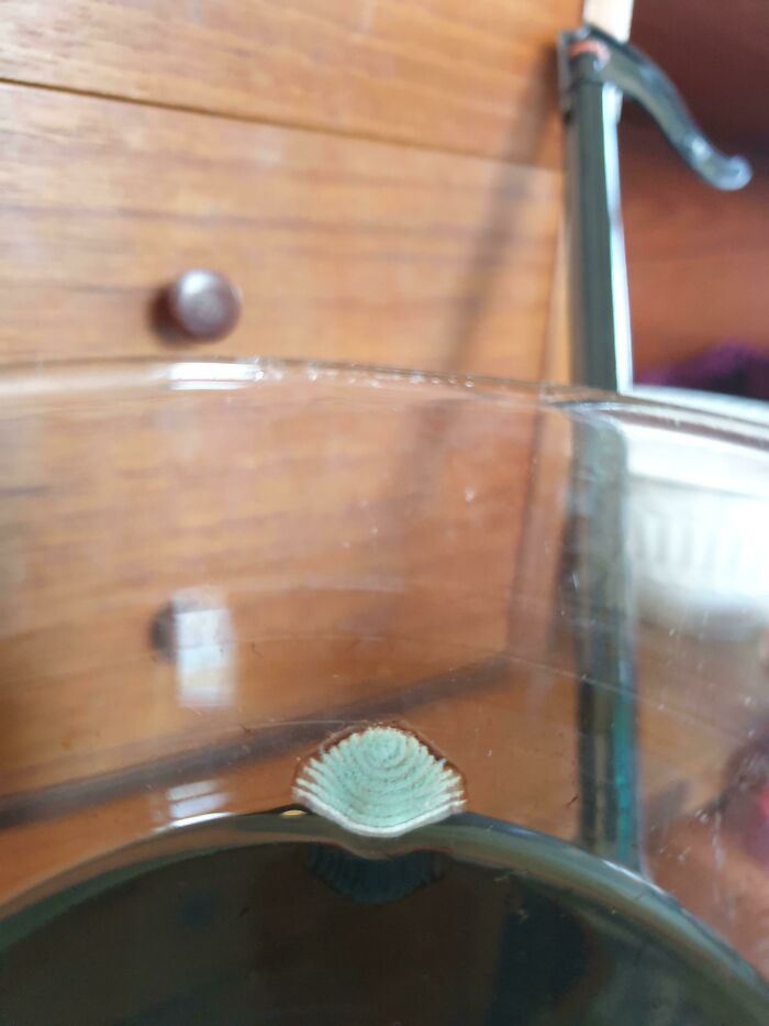 I've Been Sick And Didn't Have The Energy To Clean My Room Until Now, And Me And My Dad Thought It Looked Interesting!