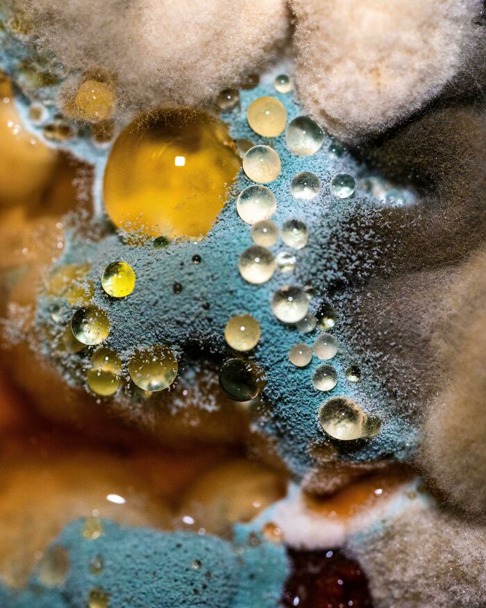 Vegan Chili Forgotten In The Garage Fridge