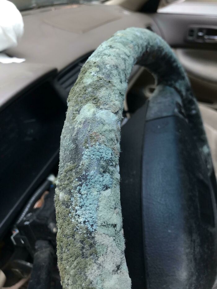 A Fuzzy Steering Wheel Cover?