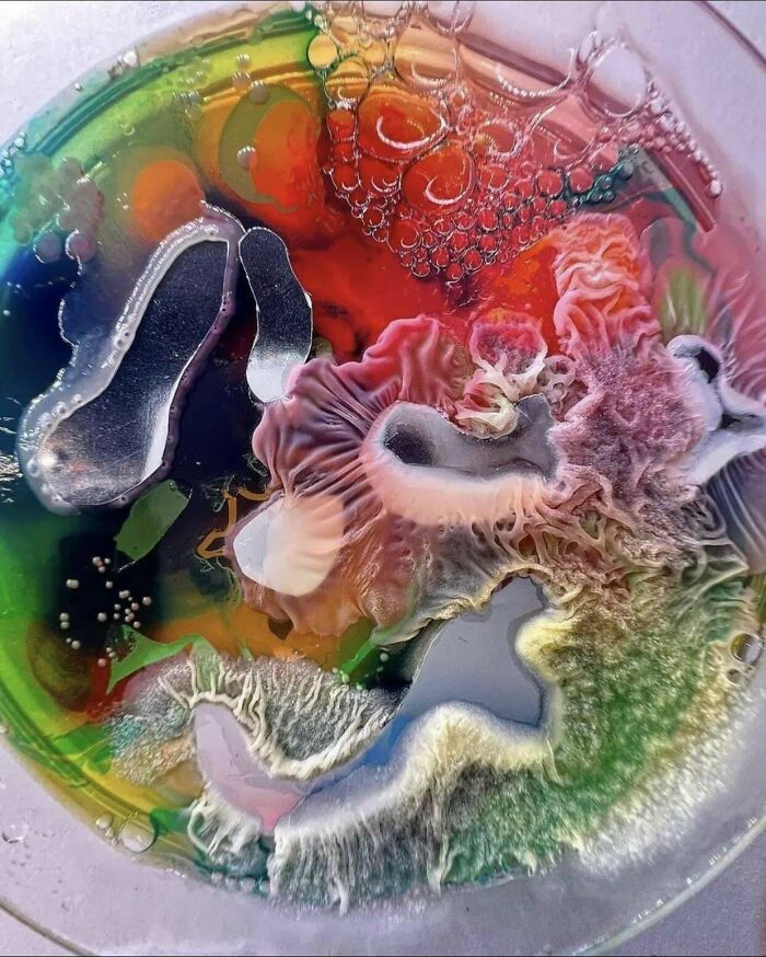 Colourful Mold