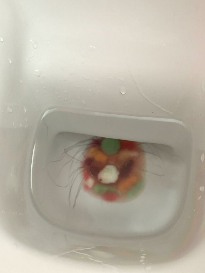 Growing In The Toilet