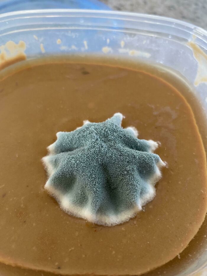 The Only Island I Can Afford