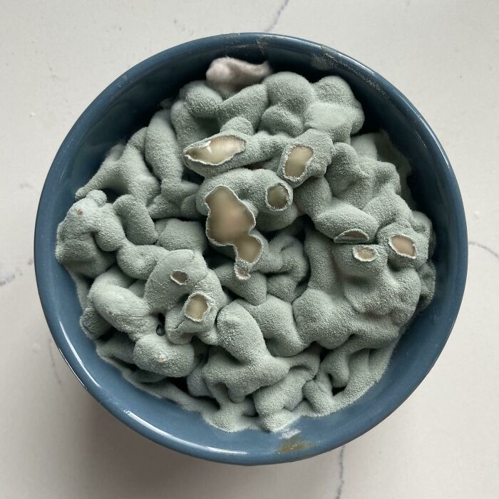 My Beans Turned To Brains