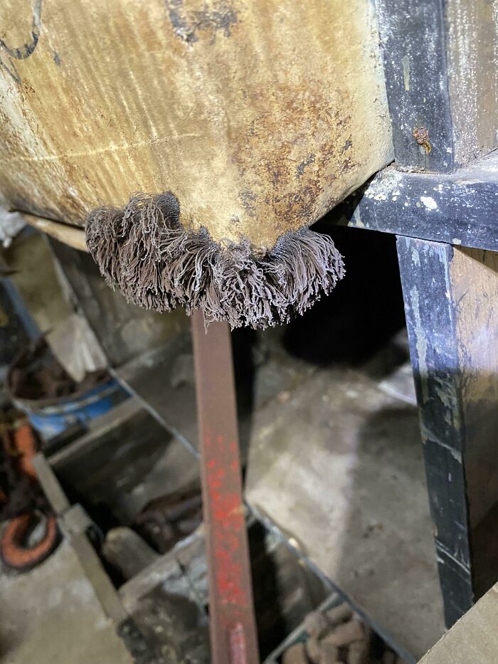 Should I Be Alarmed?