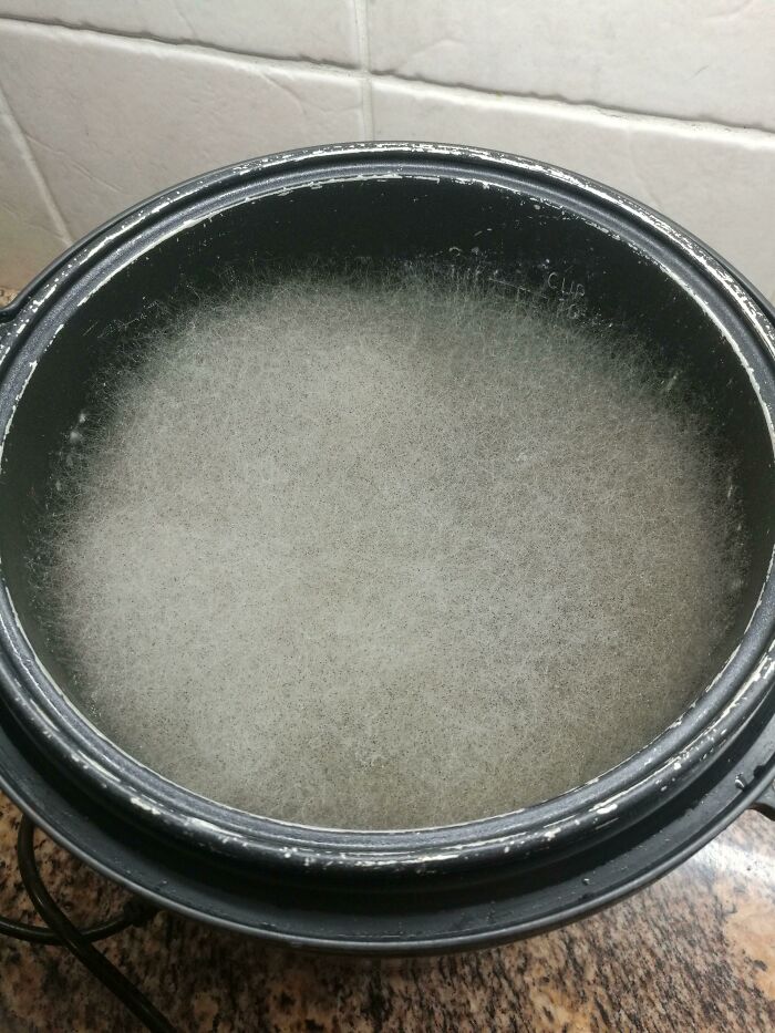 Forgotten Rice Cooker