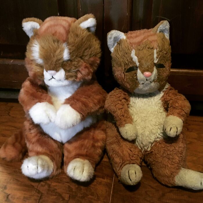 In 1995, My Great-Aunt Gave Me A Stuffed Cat, It Was My Absolute Favorite. When She Passed, We Found Out She Had Bought An Identical Cat And Kept It In Pristine Condition For Two Decades