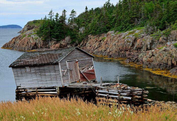 An Old Sea Shack In Newfoundland 
