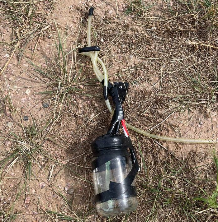 I Found A Strange Device In The Middle Of A Disc Golf Course In Colorado – A Glass Jar With Tubing And A Toothbrush Taped To It. It Appears To Be A Device For Collecting Ants