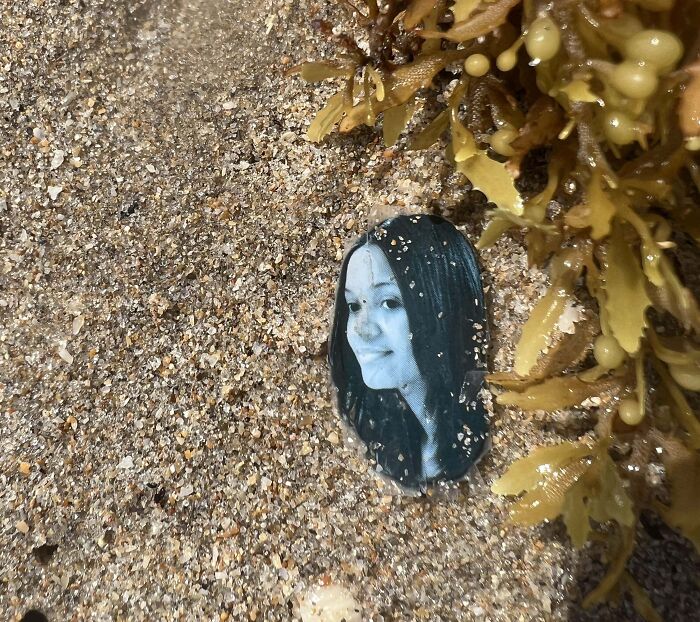 I Found This Perfectly-Cut Picture At The Beach