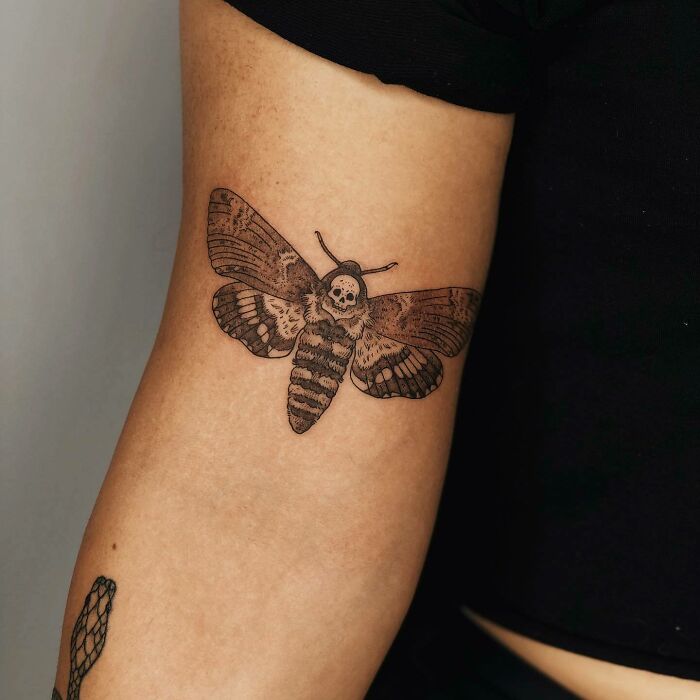 Death’s-head Hawk Moth arm tattoo