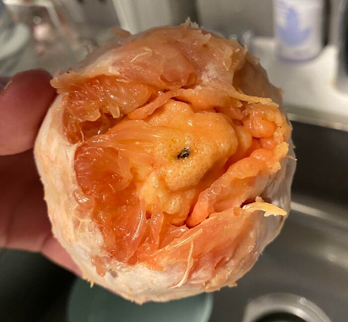Found A Grapefruit Inside My Grapefruit