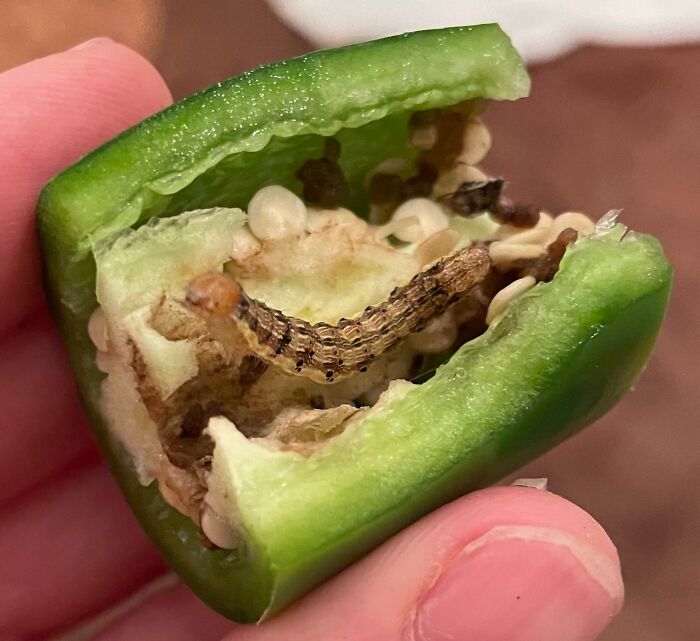 Cut Open A Jalapeño And Found This 