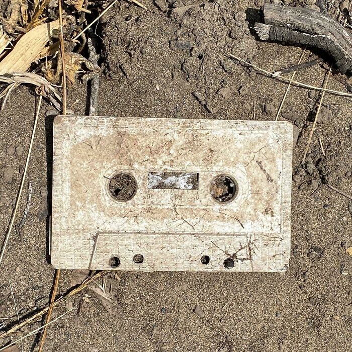 I Found A Very Rare Fossil On My Walk Today