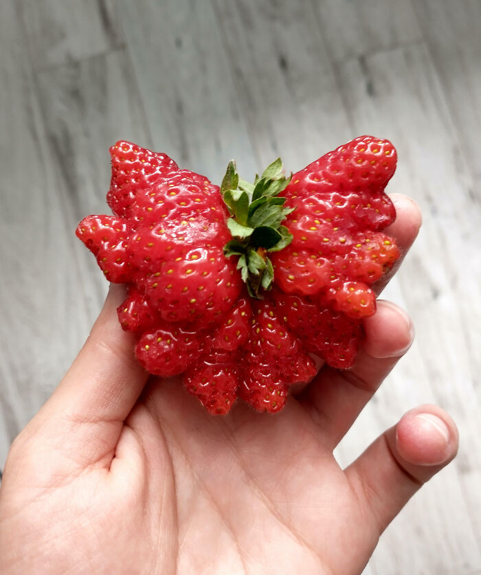 I'm Making Jam Today And I Found This Extra Strawberry