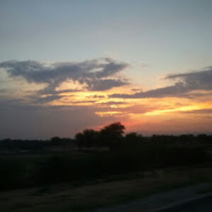 factsandfigures avatar